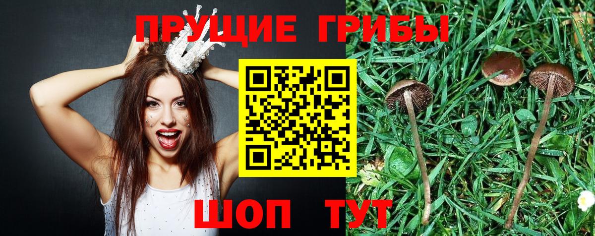 Псилоцибиновые грибы мухоморы  Вход с VPN  Изобильный 