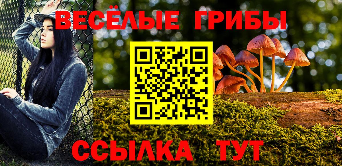Галлюциногенные грибы GOLDEN TEACHER Изобильный
